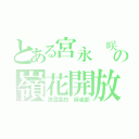 とある宮永 咲の嶺花開放（清澄高校 麻雀部）