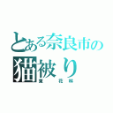 とある奈良市の猫被り（東　花林）