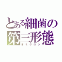 とある細菌の第三形態（オミクロン）