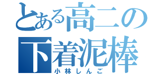 とある高二の下着泥棒（小林しんご）