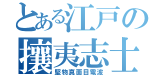 とある江戸の攘夷志士（堅物真面目電波）