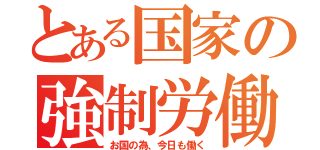 とある国家の強制労働（お国の為、今日も働く）