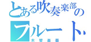 とある吹奏楽部のフルート（木管楽器）