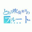 とある吹奏楽部のフルート（木管楽器）