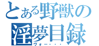 とある野獣の淫夢目録（ヴォー・・・）