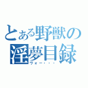 とある野獣の淫夢目録（ヴォー・・・）