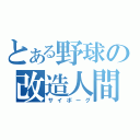 とある野球の改造人間（サイボーグ）