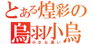 とある煌彩の烏羽小烏（小さな黒い）