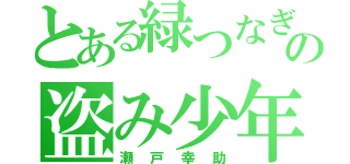 とある緑つなぎの盗み少年（瀬戸幸助）