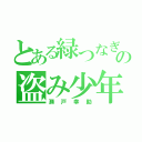 とある緑つなぎの盗み少年（瀬戸幸助）