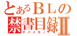 とあるＢＬの禁書目録Ⅱ（ヤバイモノ）