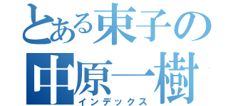 とある束子の中原一樹（インデックス）