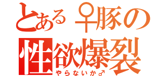 とある♀豚の性欲爆裂（やらないか♂）