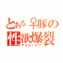 とある♀豚の性欲爆裂（やらないか♂）