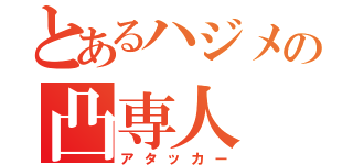 とあるハジメの凸専人（アタッカー）