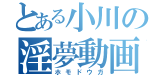 とある小川の淫夢動画（ホモドウガ）