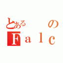 とあるのＦａｌｃｏ Ｇｒｉｃｅ（）