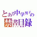 とある中学男子の禁書目録（ネット履歴）