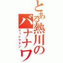 とある熱川のバナナワニ園（マッドサタン）