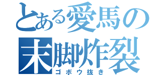 とある愛馬の末脚炸裂（ゴボウ抜き）