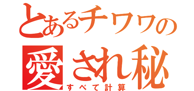 とあるチワワの愛され秘話（すべて計算）