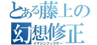 とある藤上の幻想修正（イマジンフィクサー）