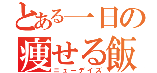 とある一日の痩せる飯（ニューデイズ）