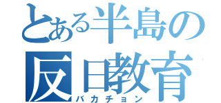 とある半島の反日教育（バカチョン）