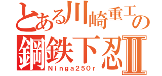 とある川崎重工の鋼鉄下忍Ⅱ（Ｎｉｎｇａ２５０ｒ）