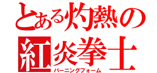 とある灼熱の紅炎拳士（バーニングフォーム）