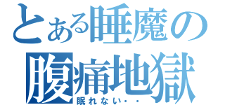 とある睡魔の腹痛地獄（眠れない・・）