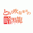 とある吹奏楽部の暗黒龍（チューバ）