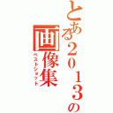 とある２０１３年の画像集（ベストショット）