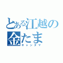 とある江越の金たま（キャンタマ）