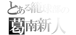 とある籠球部の葛南新人（）