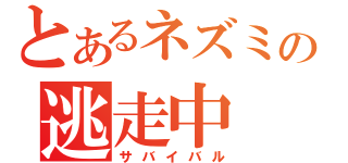 とあるネズミの逃走中（サバイバル）