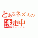 とあるネズミの逃走中（サバイバル）