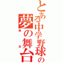 とある中学野球の夢の舞台（横浜）