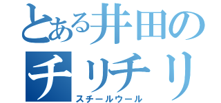 とある井田のチリチリ（スチールウール）