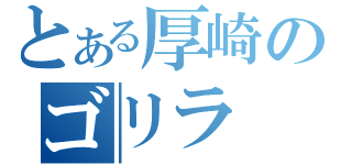 とある厚崎のゴリラ（）