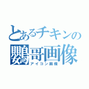 とあるチキンの鸚哥画像（アイコン画像）