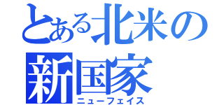 とある北米の新国家（ニューフェイス）