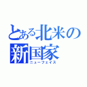 とある北米の新国家（ニューフェイス）