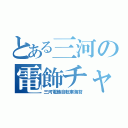 とある三河の電飾チャリ（三河電飾自転車海苔）