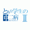 とある学生の中二病Ⅱ（ちゅうにびょう）