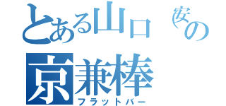 とある山口（安）の京兼棒（フラットバー）