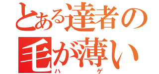 とある達者の毛が薄い（ハゲ）