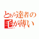 とある達者の毛が薄い（ハゲ）