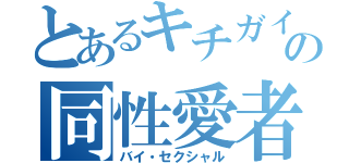 とあるキチガイの同性愛者（バイ・セクシャル）