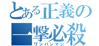 とある正義の一撃必殺（ワンパンマン）